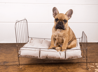 Antique Metal Folding Bed