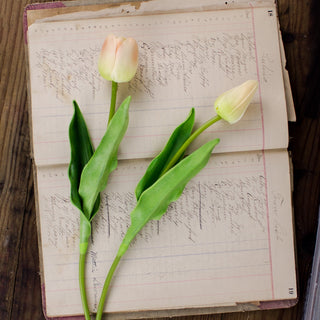 Small Cream Tulip Stem Set (2A)