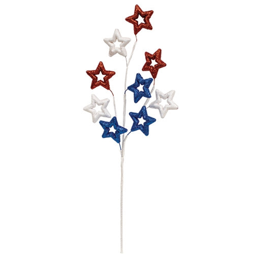 Sparkle Americana Star Spray