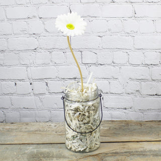 Ivory Gerber Daisy Stem