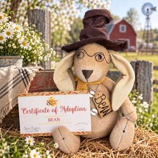 Limited Edition- Bean the Bunny – Spring 2026 Gold Subscription Box
