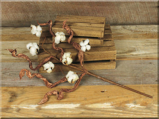 Cotton Large Pick
