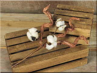 Cotton Small Pick
