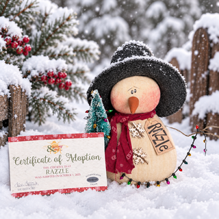 Limited Edition- Razzle the Snowman – Winter 2025 Bronze Subscription Box