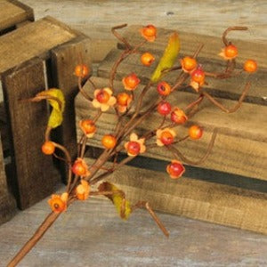 Bittersweet Small Pick