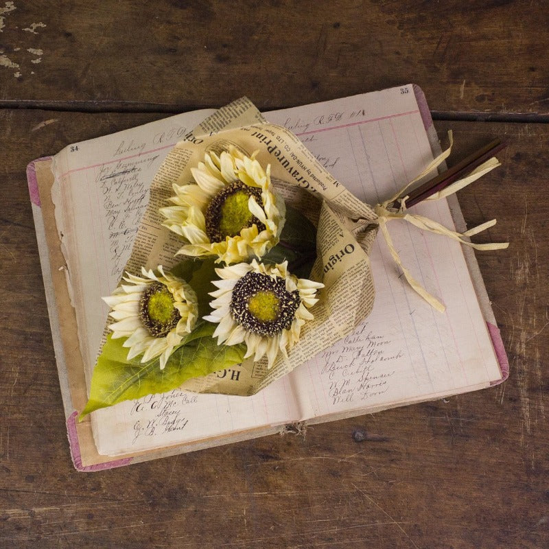 Cream Sunflower Bundle in Paper