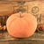 Jumbo Fabric Pumpkin