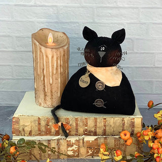 Raven the Groovy Black Cat