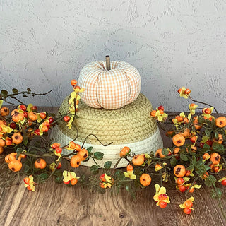 Small Checked Pumpkin