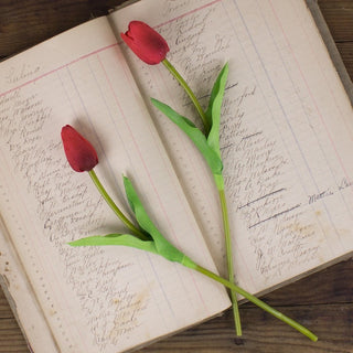Small Red Tulip Stem Set (2A)