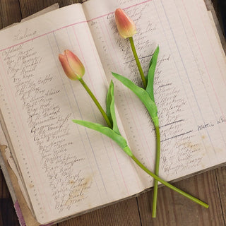 Small Coral Tulip Stem Set (2A)