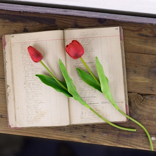 Large Red Tulip Stem Set (2A)