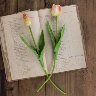 Large Coral Tulip Stem Set (2A)