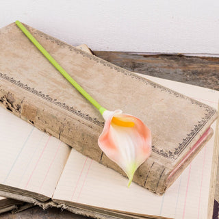 Large Coral Calla Lily Stem