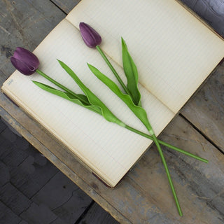 Large Purple Tulip Stem Set (2A)