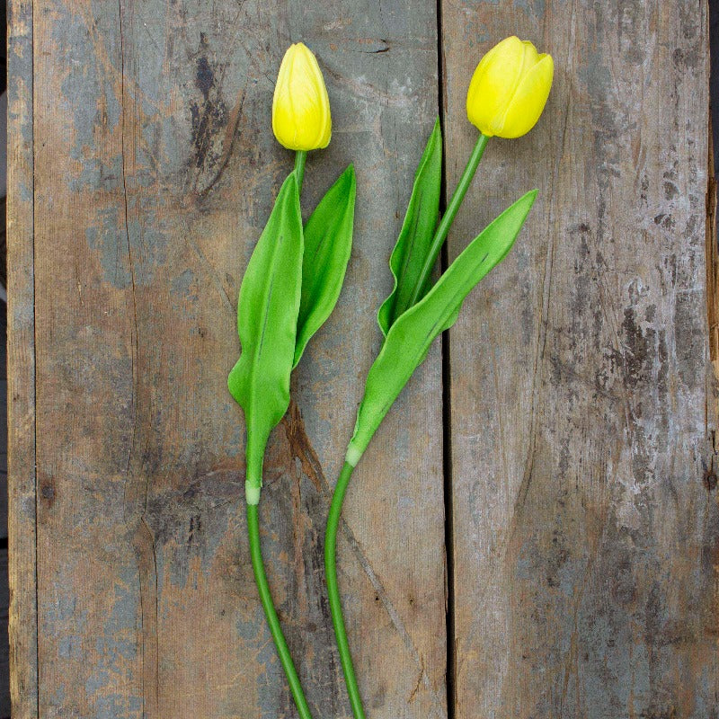 Large Yellow Tulip Stem Set (2A)