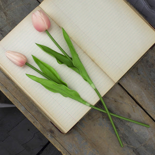 Large Light Pink Tulip Stem Set (2A)