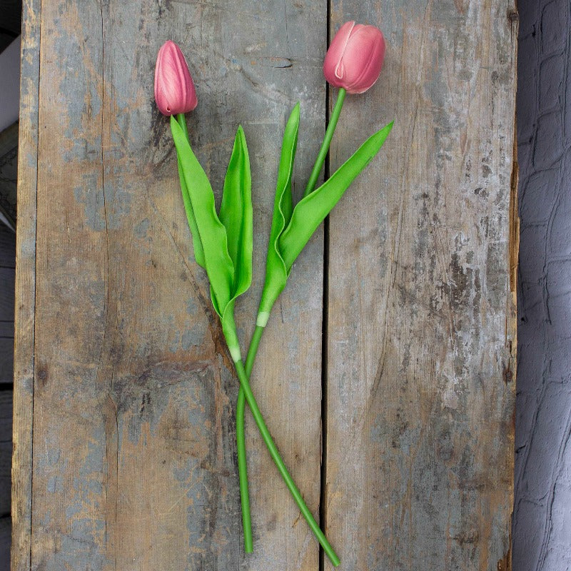 Large Dark Pink Tulip Stem Set (2A)