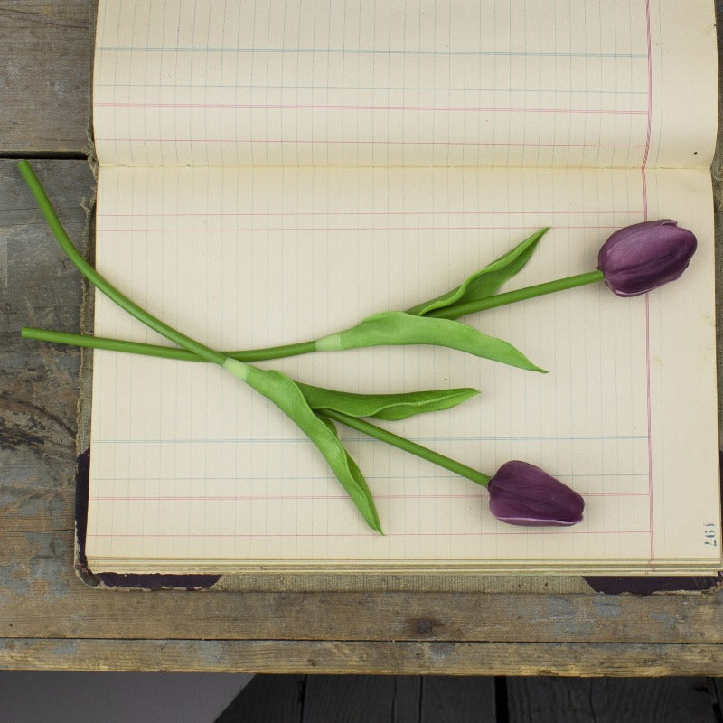 Small Purple Tulip Stem Set (2A)