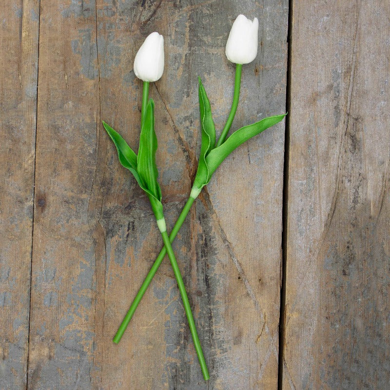 Small Ivory Tulip Stem Set (2A)