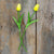 Small Yellow Tulip Stem Set (2A)