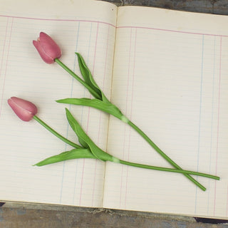 Small Dark Pink Tulip Stem Set (2A)
