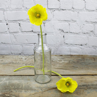 Yellow Poppy Stem