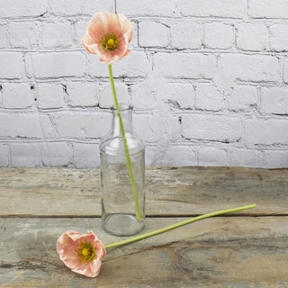 Light Pink Poppy Stem