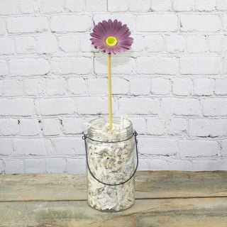Purple Gerber Daisy Stem