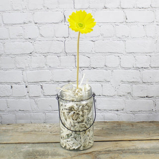 Yellow Gerber Daisy Stem