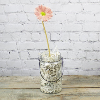 Light Pink Gerber Daisy Stem