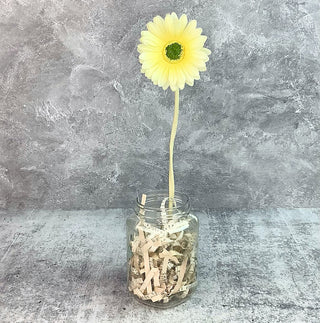 Short Faded Yellow Gerber Daisy