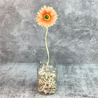 Short Faded Persimmon Gerber Daisy