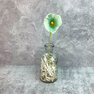 Faded Teal Poppy Stem