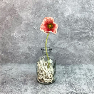 Faded Pomegranate Poppy Stem
