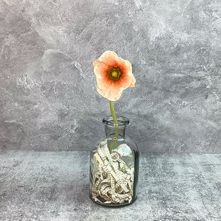 Faded Persimmon Poppy Stem