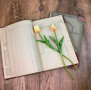 Small Blooming Persimmon Tulip Set (2A)