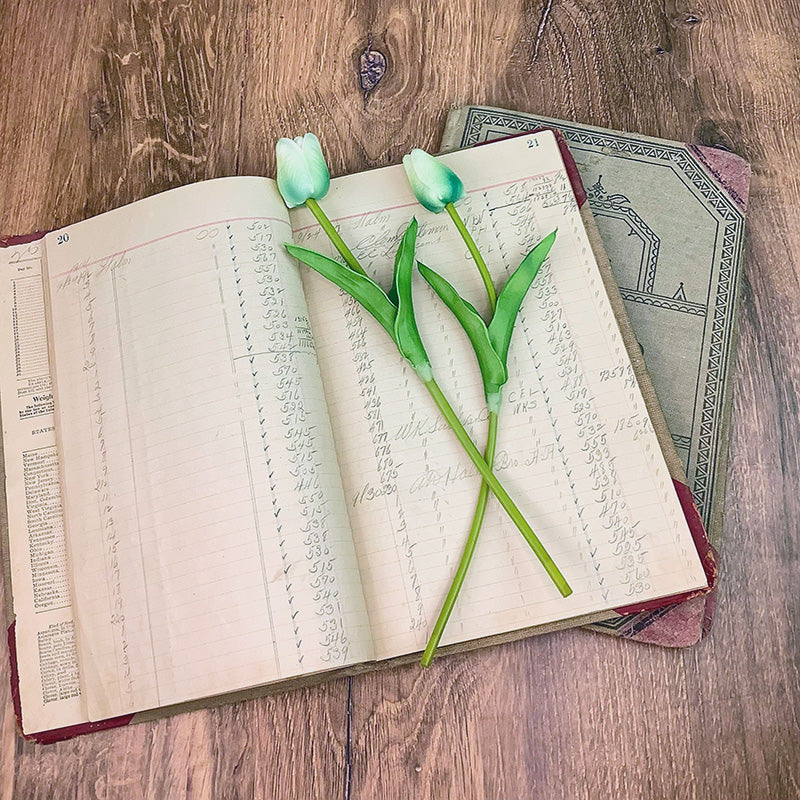Small Blooming Teal Tulip Set (2A)