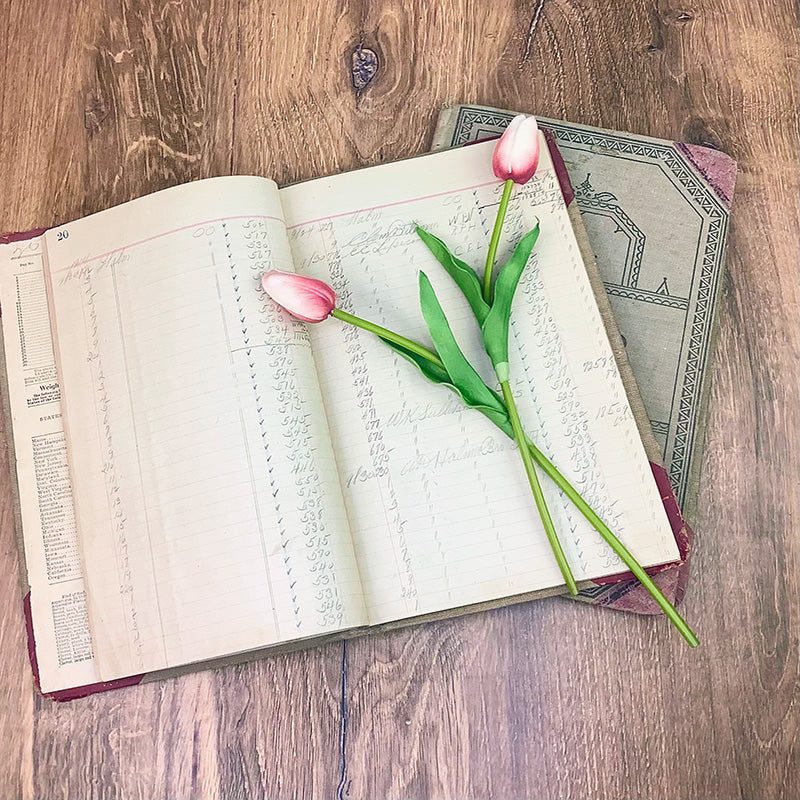 Small Blooming Pink Tulip Set (2A)
