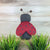 Mimi the Ladybug