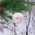 Large Snowman Head Ornament